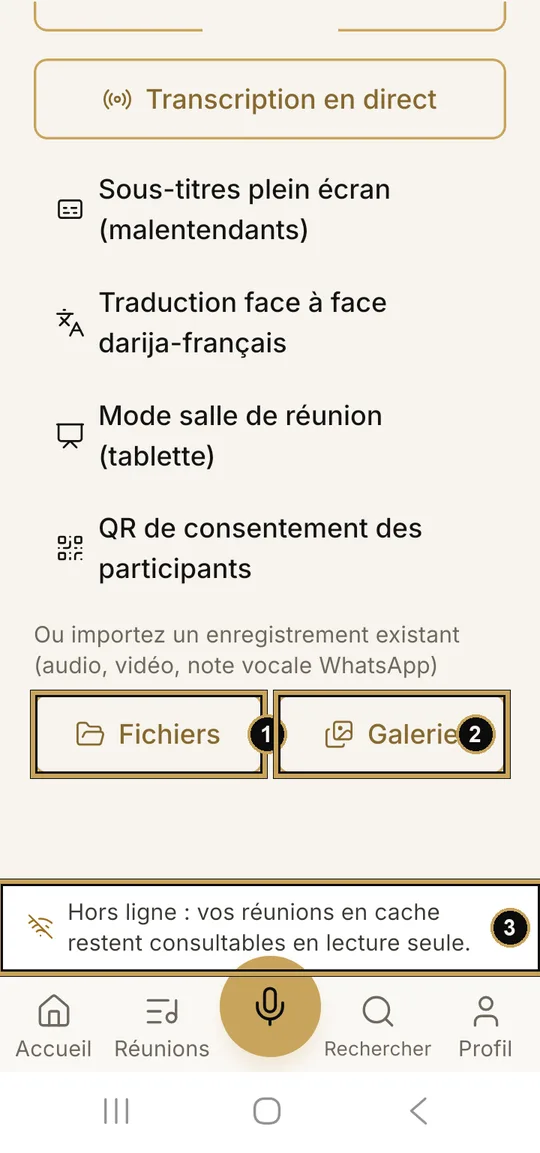 Écran d'enregistrement : 1, Fichiers ; 2, Galerie ; 3, bandeau Hors ligne.